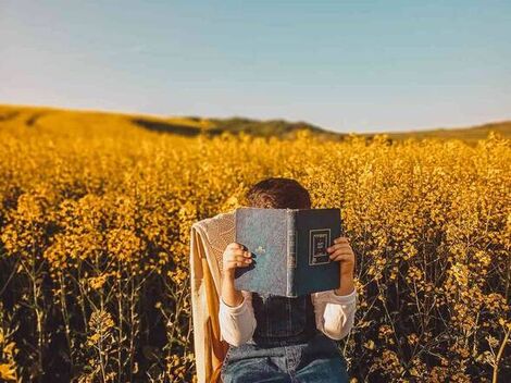 自考考研究生需要什么条件及要求