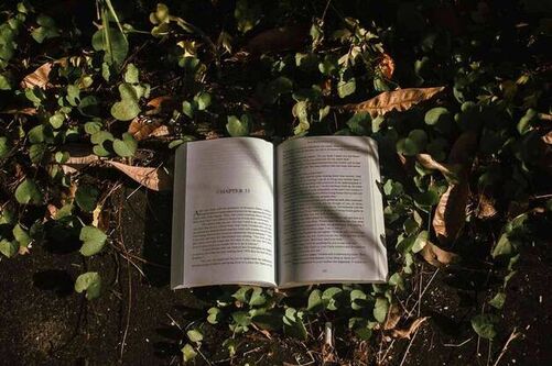 南艺考研要考哪些项目啊