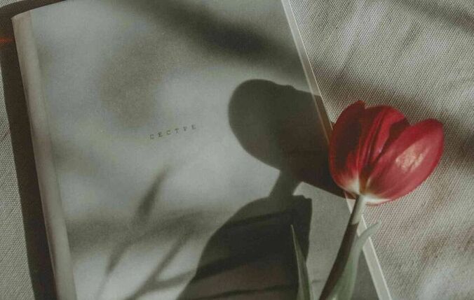 山东农业大学研究生院(山东农业大学土木研究生在哪个校区)