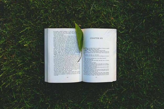 山西研招网，在山西招生考试网上怎么查考研成绩急