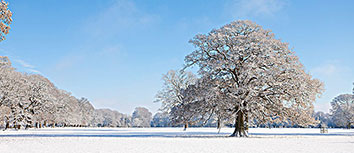 新东方智慧教育：以系统化人工智能课程推动中小学教育创新